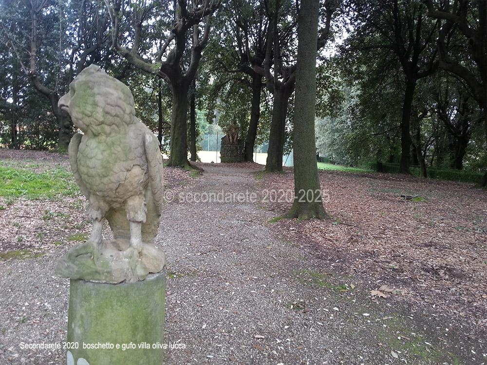 Il boschetto e il gufo, verso il parco